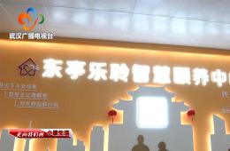 中宣部采访团到访武汉东亭社区k1集团智慧保养中心